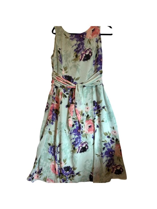 Black Label By Evan-Picone Dresses & Skirts - Black Label Evan-Picone Sleeveless Fit & Flare Dress Watercolor-Style Floral 12